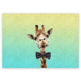 Поздравительная открытка с принтом Жираф и бабочка в Кировске, 100% бумага | плотность бумаги 280 г/м2, матовая, на обратной стороне линовка и место для марки
 | Тематика изображения на принте: жираф