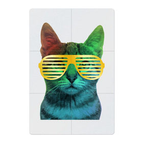 Магнитный плакат 2Х3 с принтом Кот в очках в Кировске, Полимерный материал с магнитным слоем | 6 деталей размером 9*9 см | Тематика изображения на принте: cat | kitty | space | животные | космос | кот | котенок | кошка | очки | радуга | цвет