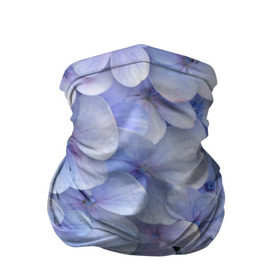 Бандана-труба 3D с принтом Гортензия голубая в Кировске, 100% полиэстер, ткань с особыми свойствами — Activecool | плотность 150‒180 г/м2; хорошо тянется, но сохраняет форму | hydrangea | лето | нежность | незабудка | цветы