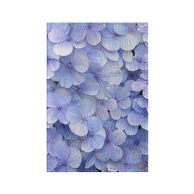 Обложка для паспорта матовая кожа с принтом Гортензия голубая в Кировске, натуральная матовая кожа | размер 19,3 х 13,7 см; прозрачные пластиковые крепления | hydrangea | лето | нежность | незабудка | цветы