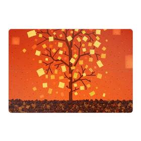 Магнитный плакат 3Х2 с принтом Золотая осень в Кировске, Полимерный материал с магнитным слоем | 6 деталей размером 9*9 см | ветви | ветка | дерево | древо | лес | листва | листья | осень | природа