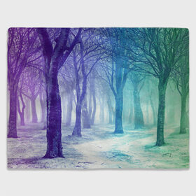 Плед 3D с принтом Мрачный лес в Кировске, 100% полиэстер | закругленные углы, все края обработаны. Ткань не мнется и не растягивается | вечер | деревья | загадочный | зеленый | земля | зима | лес | необычный | природа | свет | свечение | сибирь | снег | тайга | фиолетовый | яркий