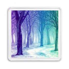 Магнит 55*55 с принтом Мрачный лес в Кировске, Пластик | Размер: 65*65 мм; Размер печати: 55*55 мм | вечер | деревья | загадочный | зеленый | земля | зима | лес | необычный | природа | свет | свечение | сибирь | снег | тайга | фиолетовый | яркий