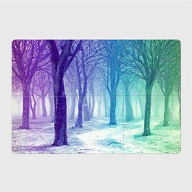 Магнитный плакат 3Х2 с принтом Мрачный лес в Кировске, Полимерный материал с магнитным слоем | 6 деталей размером 9*9 см | вечер | деревья | загадочный | зеленый | земля | зима | лес | необычный | природа | свет | свечение | сибирь | снег | тайга | фиолетовый | яркий