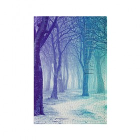 Обложка для паспорта матовая кожа с принтом Мрачный лес в Кировске, натуральная матовая кожа | размер 19,3 х 13,7 см; прозрачные пластиковые крепления | вечер | деревья | загадочный | зеленый | земля | зима | лес | необычный | природа | свет | свечение | сибирь | снег | тайга | фиолетовый | яркий