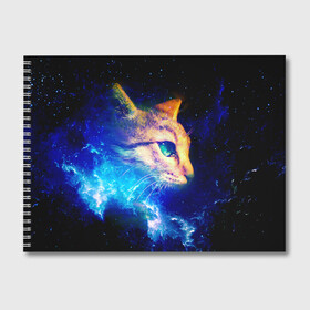 Альбом для рисования с принтом Звездный кот в Кировске, 100% бумага
 | матовая бумага, плотность 200 мг. | Тематика изображения на принте: звезды | кот | мордочка | темный