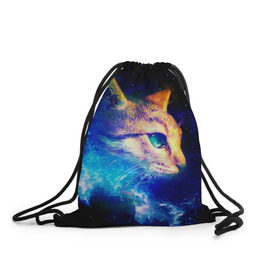 Рюкзак-мешок 3D с принтом Звездный кот в Кировске, 100% полиэстер | плотность ткани — 200 г/м2, размер — 35 х 45 см; лямки — толстые шнурки, застежка на шнуровке, без карманов и подкладки | звезды | кот | мордочка | темный