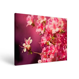 Холст прямоугольный с принтом Сакура в Кировске, 100% ПВХ |  | Тематика изображения на принте: 3d | flower | nature | pink | sakura | весна | деревья | природа | розовый | сакура | цветы | япония