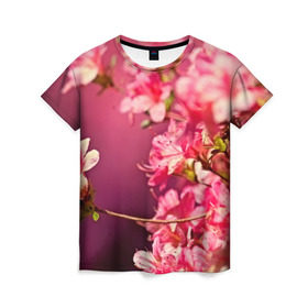 Женская футболка 3D с принтом Сакура в Кировске, 100% полиэфир ( синтетическое хлопкоподобное полотно) | прямой крой, круглый вырез горловины, длина до линии бедер | Тематика изображения на принте: 3d | flower | nature | pink | sakura | весна | деревья | природа | розовый | сакура | цветы | япония