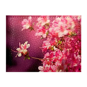 Обложка для студенческого билета с принтом Сакура в Кировске, натуральная кожа | Размер: 11*8 см; Печать на всей внешней стороне | Тематика изображения на принте: 3d | flower | nature | pink | sakura | весна | деревья | природа | розовый | сакура | цветы | япония