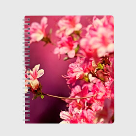 Тетрадь с принтом Сакура в Кировске, 100% бумага | 48 листов, плотность листов — 60 г/м2, плотность картонной обложки — 250 г/м2. Листы скреплены сбоку удобной пружинной спиралью. Уголки страниц и обложки скругленные. Цвет линий — светло-серый
 | 3d | flower | nature | pink | sakura | весна | деревья | природа | розовый | сакура | цветы | япония