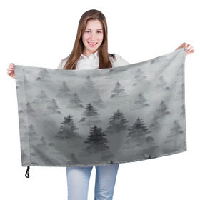 Флаг 3D с принтом Туманный лес в Кировске, 100% полиэстер | плотность ткани — 95 г/м2, размер — 67 х 109 см. Принт наносится с одной стороны | Тематика изображения на принте: бор | вечер | деревья | елка | еловый | ель | загадочный | земля | зима | лес | мрачный | необычный | природа | серый | сибирь | снег | тайга | туман | хвойный