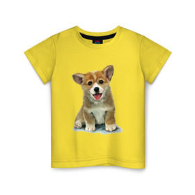 Детская футболка хлопок с принтом Коржик в Кировске, 100% хлопок | круглый вырез горловины, полуприлегающий силуэт, длина до линии бедер | corgi | dog | korgi | вельш корги | дог | кардиган | корги | пемброк | собака | щенок