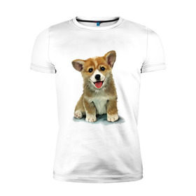 Мужская футболка премиум с принтом Коржик в Кировске, 92% хлопок, 8% лайкра | приталенный силуэт, круглый вырез ворота, длина до линии бедра, короткий рукав | corgi | dog | korgi | вельш корги | дог | кардиган | корги | пемброк | собака | щенок