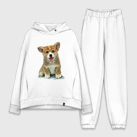 Женский костюм хлопок Oversize с принтом Коржик в Кировске,  |  | corgi | dog | korgi | вельш корги | дог | кардиган | корги | пемброк | собака | щенок