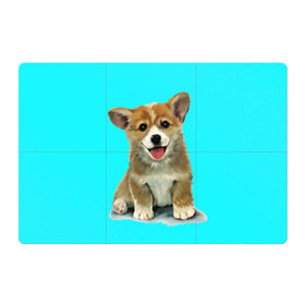 Магнитный плакат 3Х2 с принтом Корги в Кировске, Полимерный материал с магнитным слоем | 6 деталей размером 9*9 см | Тематика изображения на принте: corgy | dog | korgi | puppy | вельш корги | кардиган | коржик | пемброк | собака | щенок