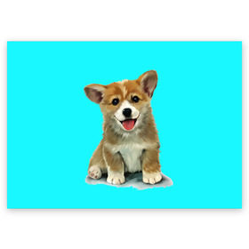 Поздравительная открытка с принтом Корги в Кировске, 100% бумага | плотность бумаги 280 г/м2, матовая, на обратной стороне линовка и место для марки
 | Тематика изображения на принте: corgy | dog | korgi | puppy | вельш корги | кардиган | коржик | пемброк | собака | щенок