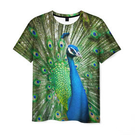 Мужская футболка 3D с принтом Павлин в Кировске, 100% полиэфир | прямой крой, круглый вырез горловины, длина до линии бедер | Тематика изображения на принте: павлин | перо