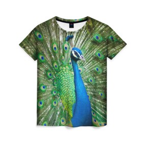 Женская футболка 3D с принтом Павлин в Кировске, 100% полиэфир ( синтетическое хлопкоподобное полотно) | прямой крой, круглый вырез горловины, длина до линии бедер | павлин | перо