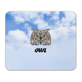 Коврик прямоугольный с принтом Owl в Кировске, натуральный каучук | размер 230 х 185 мм; запечатка лицевой стороны | owl | животные | полуночник | природа | сова | сыч | филин | этника