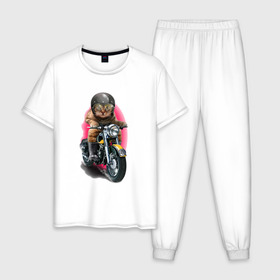 Мужская пижама хлопок с принтом Кот мотоциклист в Кировске, 100% хлопок | брюки и футболка прямого кроя, без карманов, на брюках мягкая резинка на поясе и по низу штанин
 | moto | киса | кот | котэ | мото | мотоцикл | очки | шлем