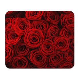 Коврик прямоугольный с принтом Красные розы в Кировске, натуральный каучук | размер 230 х 185 мм; запечатка лицевой стороны | Тематика изображения на принте: букет | красный | розы | цветы