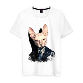 Мужская футболка хлопок с принтом Сфинкс в Кировске, 100% хлопок | прямой крой, круглый вырез горловины, длина до линии бедер, слегка спущенное плечо. | кот | лысый кот