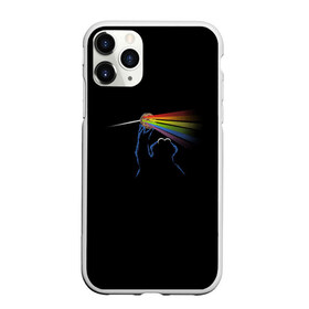 Чехол для iPhone 11 Pro матовый с принтом Pink Floyd Cookie Monster в Кировске, Силикон |  | монстр | печеньки | улица сезам