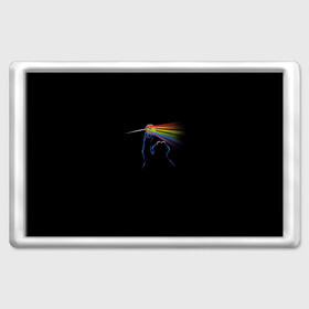 Магнит 45*70 с принтом Pink Floyd Cookie Monster в Кировске, Пластик | Размер: 78*52 мм; Размер печати: 70*45 | монстр | печеньки | улица сезам