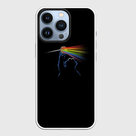 Чехол для iPhone 13 Pro с принтом Pink Floyd Cookie Monster в Кировске,  |  | монстр | печеньки | улица сезам