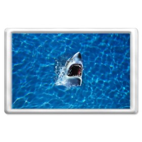 Магнит 45*70 с принтом Пасть акулы в Кировске, Пластик | Размер: 78*52 мм; Размер печати: 70*45 | акула | атака | белая | брызги | вода | волны | зубы | капли | море | океан | опасность | синяя | челюсти | эффект
