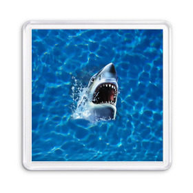 Магнит 55*55 с принтом Пасть акулы в Кировске, Пластик | Размер: 65*65 мм; Размер печати: 55*55 мм | акула | атака | белая | брызги | вода | волны | зубы | капли | море | океан | опасность | синяя | челюсти | эффект