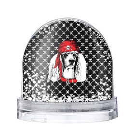 Водяной шар с принтом Пудель пират в Кировске, Пластик | Изображение внутри шара печатается на глянцевой фотобумаге с двух сторон | animal | dog | pet | puppy | skull | арт | животные | пес | пират | пудель | собаки | текстура | череп