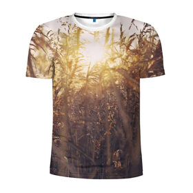 Мужская футболка 3D спортивная с принтом Солнце во ржи в Кировске, 100% полиэстер с улучшенными характеристиками | приталенный силуэт, круглая горловина, широкие плечи, сужается к линии бедра | восход | закат | лучи | поле | природа | растения | рож | солнце | тепло