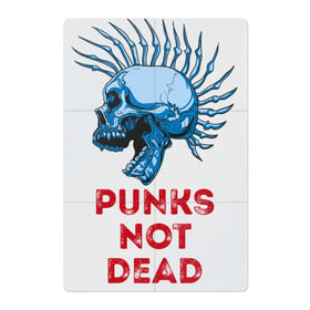 Магнитный плакат 2Х3 с принтом Punks not dead в Кировске, Полимерный материал с магнитным слоем | 6 деталей размером 9*9 см | Тематика изображения на принте: music | punk | rock | skull | музыка | панк | рок | череп | черепа