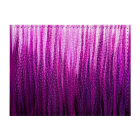 Обложка для студенческого билета с принтом фиолетово-черные краски в Кировске, натуральная кожа | Размер: 11*8 см; Печать на всей внешней стороне | Тематика изображения на принте: color | violet | акварель | краски | полосы | фиолетовый | цвет | черный | ярко