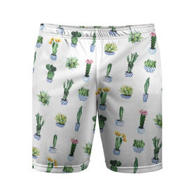 Мужские шорты 3D спортивные с принтом Кактусы в Кировске,  |  | горшок | зеленый | кактус | принт | растение | флора | цветы