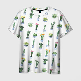 Мужская футболка 3D с принтом Кактусы в Кировске, 100% полиэфир | прямой крой, круглый вырез горловины, длина до линии бедер | Тематика изображения на принте: горшок | зеленый | кактус | принт | растение | флора | цветы