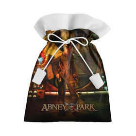 Подарочный 3D мешок с принтом Abney Park в Кировске, 100% полиэстер | Размер: 29*39 см | 
