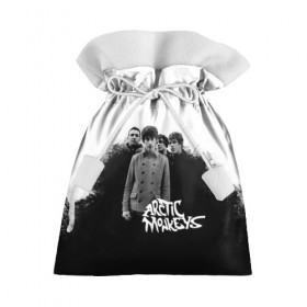 Подарочный 3D мешок с принтом Группа Arctic Monkeys в Кировске, 100% полиэстер | Размер: 29*39 см | Тематика изображения на принте: arctic monkeys обезьянка
