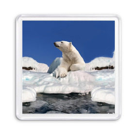 Магнит 55*55 с принтом Арктика в Кировске, Пластик | Размер: 65*65 мм; Размер печати: 55*55 мм | animals | bear | ice | nature | polar bear | power | travel | белый медведь | животные | лёд | медведь | природа | путешествия | сила | снег