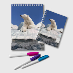 Блокнот с принтом Арктика в Кировске, 100% бумага | 48 листов, плотность листов — 60 г/м2, плотность картонной обложки — 250 г/м2. Листы скреплены удобной пружинной спиралью. Цвет линий — светло-серый
 | animals | bear | ice | nature | polar bear | power | travel | белый медведь | животные | лёд | медведь | природа | путешествия | сила | снег