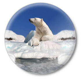 Значок с принтом Арктика в Кировске,  металл | круглая форма, металлическая застежка в виде булавки | animals | bear | ice | nature | polar bear | power | travel | белый медведь | животные | лёд | медведь | природа | путешествия | сила | снег