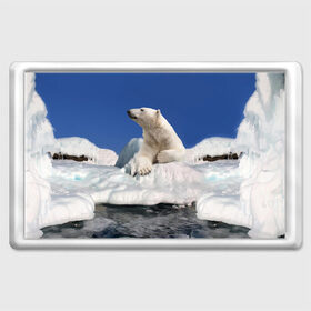 Магнит 45*70 с принтом Арктика в Кировске, Пластик | Размер: 78*52 мм; Размер печати: 70*45 | Тематика изображения на принте: animals | bear | ice | nature | polar bear | power | travel | белый медведь | животные | лёд | медведь | природа | путешествия | сила | снег