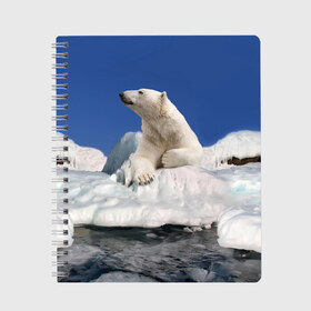 Тетрадь с принтом Арктика в Кировске, 100% бумага | 48 листов, плотность листов — 60 г/м2, плотность картонной обложки — 250 г/м2. Листы скреплены сбоку удобной пружинной спиралью. Уголки страниц и обложки скругленные. Цвет линий — светло-серый
 | animals | bear | ice | nature | polar bear | power | travel | белый медведь | животные | лёд | медведь | природа | путешествия | сила | снег