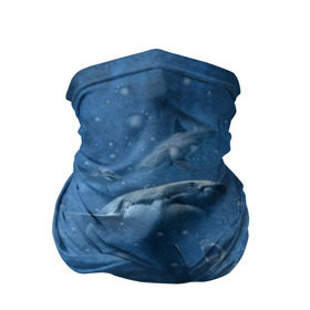 Бандана-труба 3D с принтом Shark в Кировске, 100% полиэстер, ткань с особыми свойствами — Activecool | плотность 150‒180 г/м2; хорошо тянется, но сохраняет форму | fish | ocean | акула | вода | животные | море | океан | рыба | челюсти