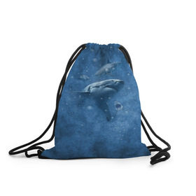 Рюкзак-мешок 3D с принтом Shark в Кировске, 100% полиэстер | плотность ткани — 200 г/м2, размер — 35 х 45 см; лямки — толстые шнурки, застежка на шнуровке, без карманов и подкладки | fish | ocean | акула | вода | животные | море | океан | рыба | челюсти
