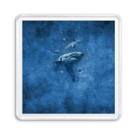 Магнит 55*55 с принтом Shark в Кировске, Пластик | Размер: 65*65 мм; Размер печати: 55*55 мм | fish | ocean | акула | вода | животные | море | океан | рыба | челюсти