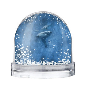 Снежный шар с принтом Shark в Кировске, Пластик | Изображение внутри шара печатается на глянцевой фотобумаге с двух сторон | fish | ocean | акула | вода | животные | море | океан | рыба | челюсти