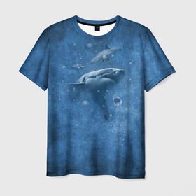 Мужская футболка 3D с принтом Shark в Кировске, 100% полиэфир | прямой крой, круглый вырез горловины, длина до линии бедер | fish | ocean | акула | вода | животные | море | океан | рыба | челюсти
